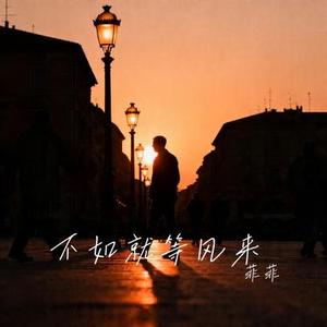 不如就等风来 (Cover 向思思)