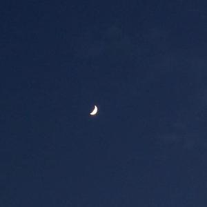 生命中美丽的一天