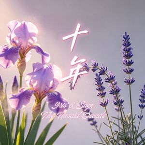 十年