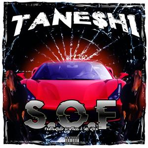 S.O.F (feat. Lowtuss & MC Rice)