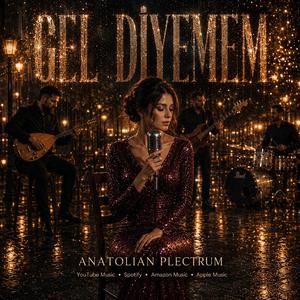 Gel Diyemem