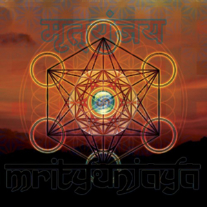 Venom (Original Mix)