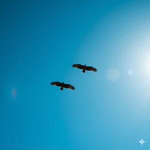 Free