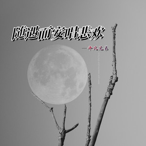 随遇而安唱悲欢 (DJ小健版)