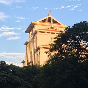 无声告别