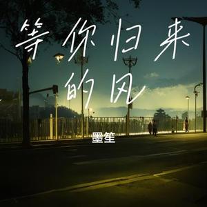 等你归来的风