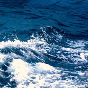 面朝大海