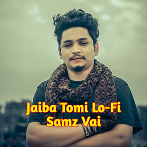 Jaiba Tomi (Lo-Fi)