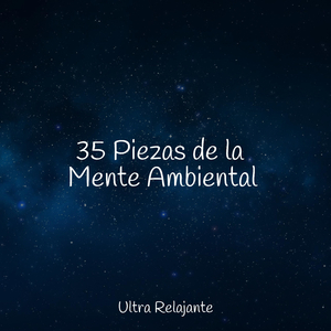 En Paz con la Mente