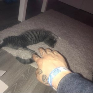 再给我一分钟(0.9x变调)