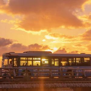 还没去过你的岛屿