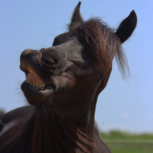 CAVA UMA FALTA Q É GOL fodastica