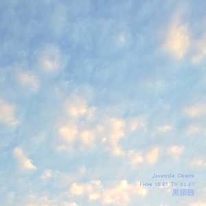 封控期间最后一壶咖啡，冲得很难过