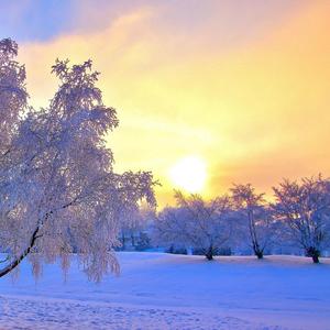 空空的心空空的房间