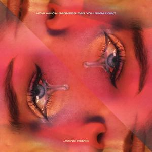 How Much Sadness Can You Swallow? (Jasno Remix)