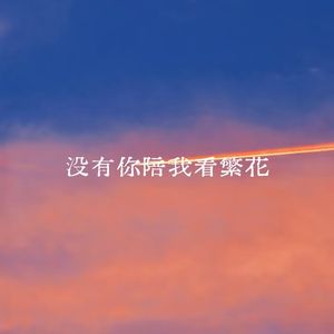 没有你陪我看繁花