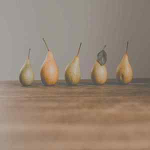 柔和的美食时刻