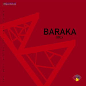 Zamal (feat. NIMESIS & Salam)