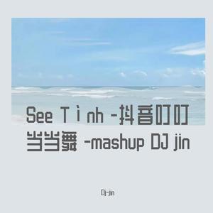 See Tình -抖音叮叮当当舞 （Dj-jin remix）