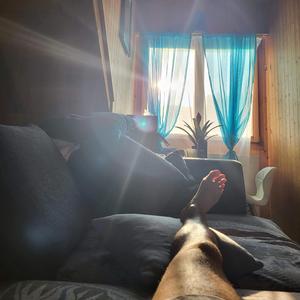 Entre "Cachaços" e Abraços (M)