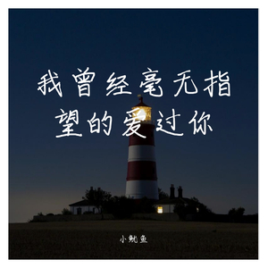 我曾经毫无指望的爱过你