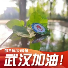 泰式电摇