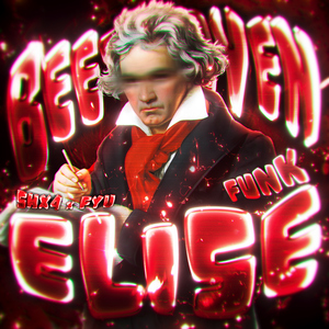 BEETHOVEN ELISE FUNK