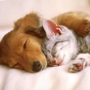 天空下着小雨（翻自 函几）