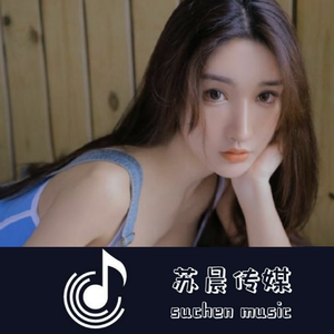 苏小晨-苏雷（DJ版）（苏小晨 remix）