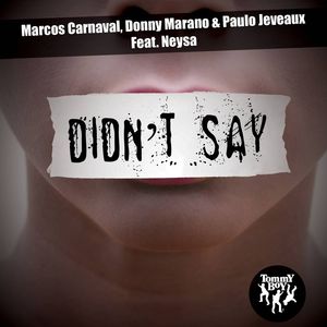 Didn't Say (feat. Neysa) (Radio Mix)
