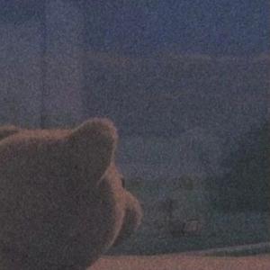 阿拉斯加海湾（男声版）