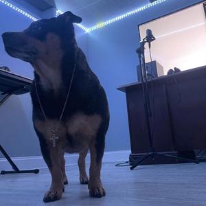 PoP N (feat. LambiLove)