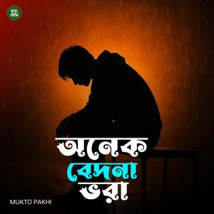 অনেক বেদনা ভরা