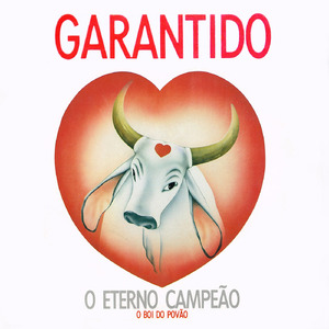 Anunciei Boi na Cidade