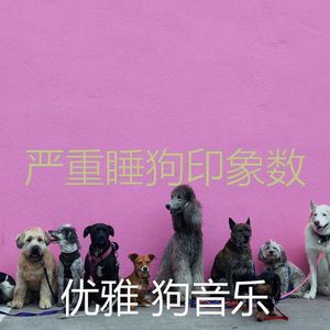 有趣可爱的狗情怀