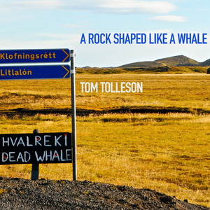 A Rock Shaped Like a Whale (Live)