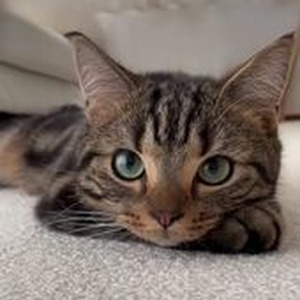 Made In China (slowed)