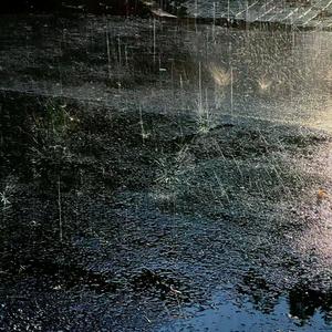 雨爱(with Yakult波比)