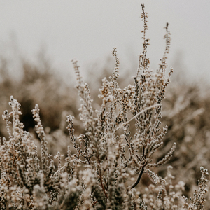 조금 쌀쌀한 오늘