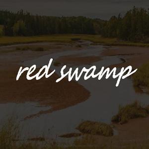 red swamp（prod.by MEGA）