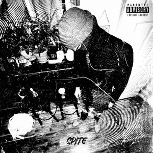 Spite