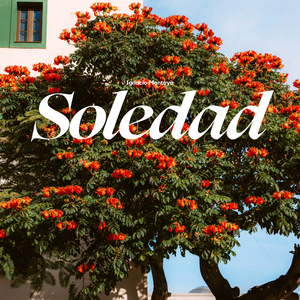 Soledad