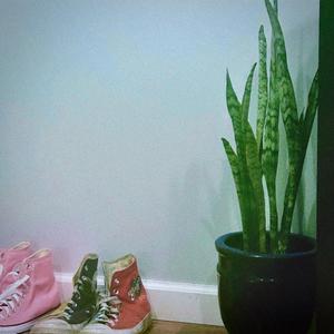 we wrote this song on the floor (feat. valentine)