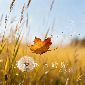 写给昨天的风