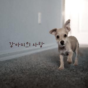 강아지의 사랑 (inst.)