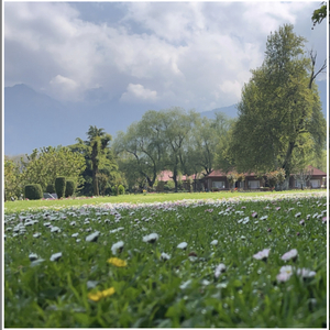 Khvaabon Ke Bageechon Mein