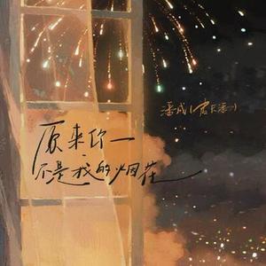 你不是我的烟火 (DJ0.8x降调版)