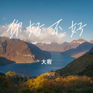 你好不好
