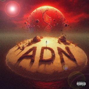 ADN