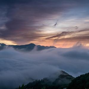 拿点分看看解决